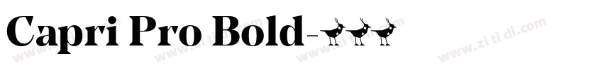 Capri Pro Bold字体转换